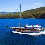 Blue Cruise