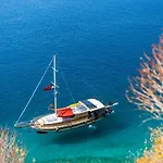 Blue Cruise