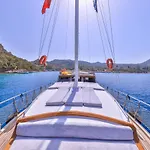 Blue Cruise 