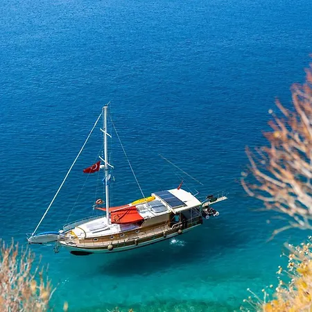 Blue Cruise