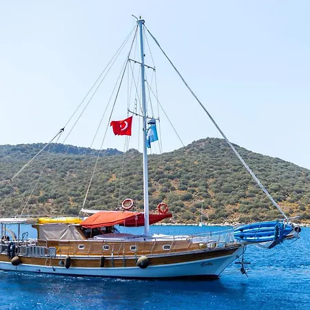 Blue Cruise 