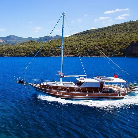 Blue Cruise
