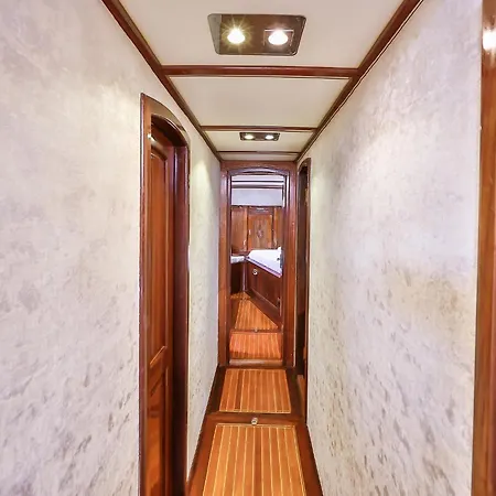 بلو كروز  كاس