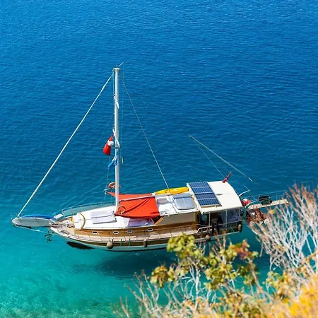  بلو كروز كاس