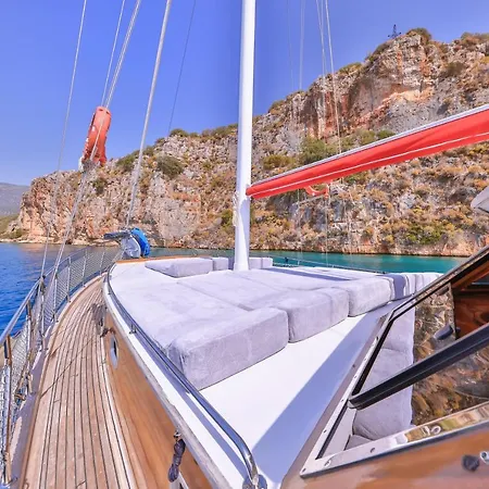 بلو كروز  كاس