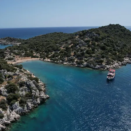 بلو كروز كاس