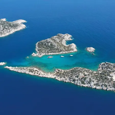 بلو كروز  كاس