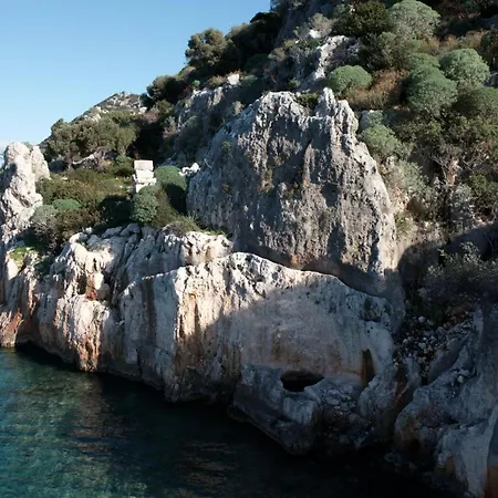  بلو كروز كاس