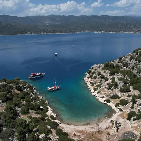 بلو كروز * كاس