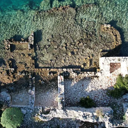  بلو كروز كاس