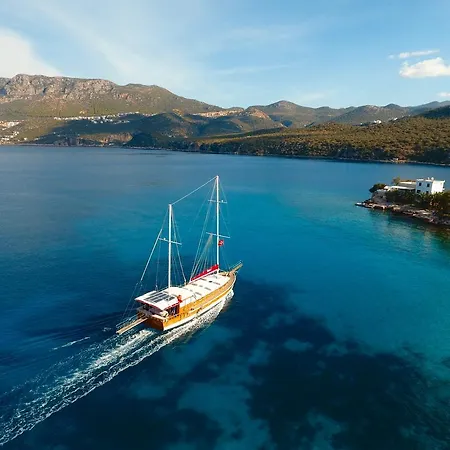  بلو كروز كاس