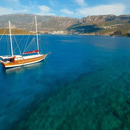 بلو كروز كاس