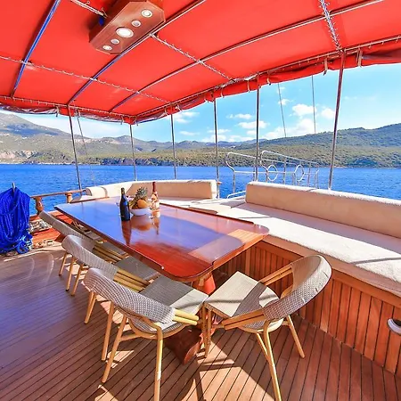 بلو كروز  كاس