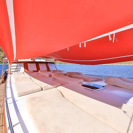 بلو كروز * كاس