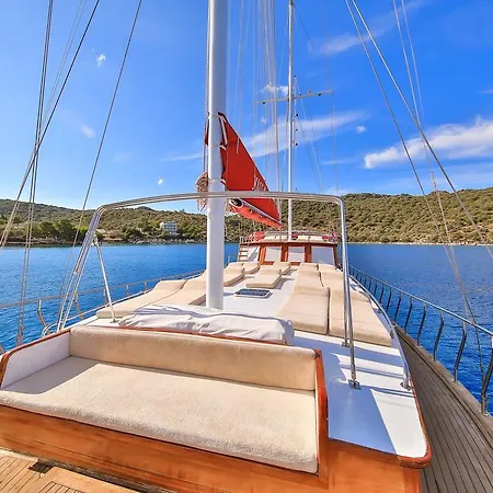 بلو كروز كاس