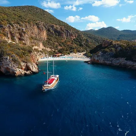 بلو كروز  كاس