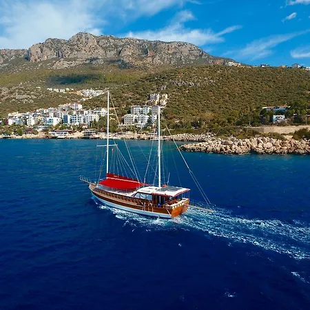 بلو كروز كاس