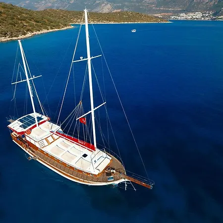 بلو كروز كاس