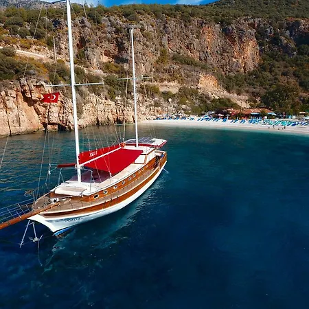  بلو كروز كاس