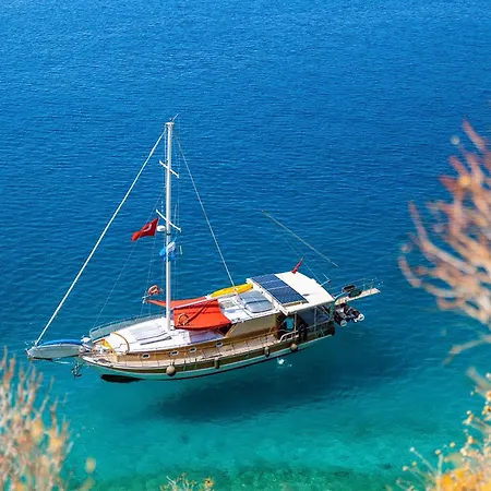 Blue Cruise